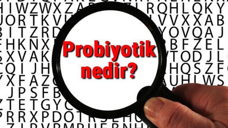 Probiyotik nedir Probiyotik gıdalar ne işe yarar ve faydaları nelerdir