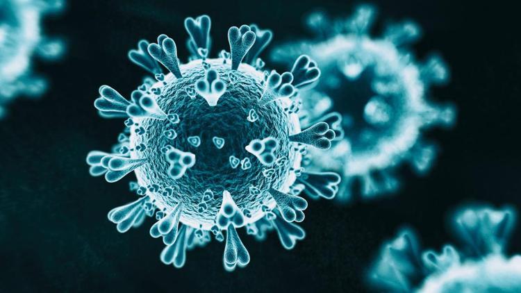 Koronavirüs hücreleri istila etmek için en az 10 farklı şekle bürünüyor