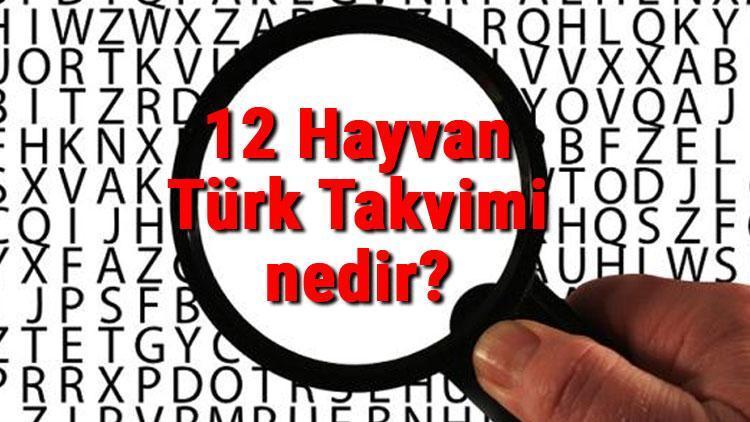 12 Hayvan Türk Takvimi nedir 12 Hayvan Türk Takvimi hayvanları neler ve yıllara göre özellikleri