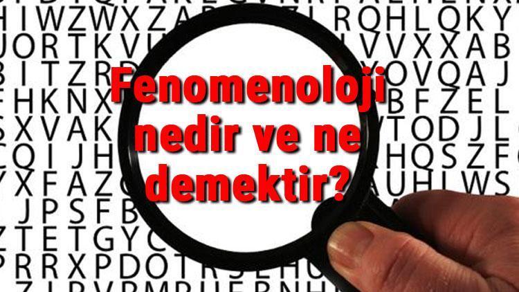 Fenomenoloji (Görüngübilim) nedir ve ne demektir Felsefede Fenomenoloji temsilcileri kimlerdir