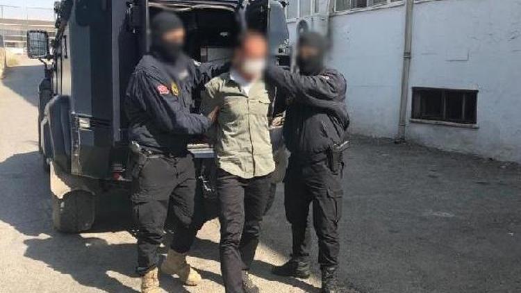 Şırnakta PKK operasyonu: 4 gözaltı