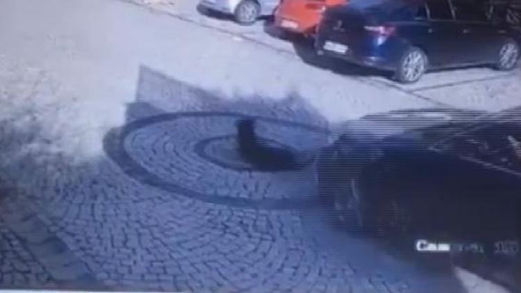 İstanbulda feci olay Yolda yatan köpeği ezdi