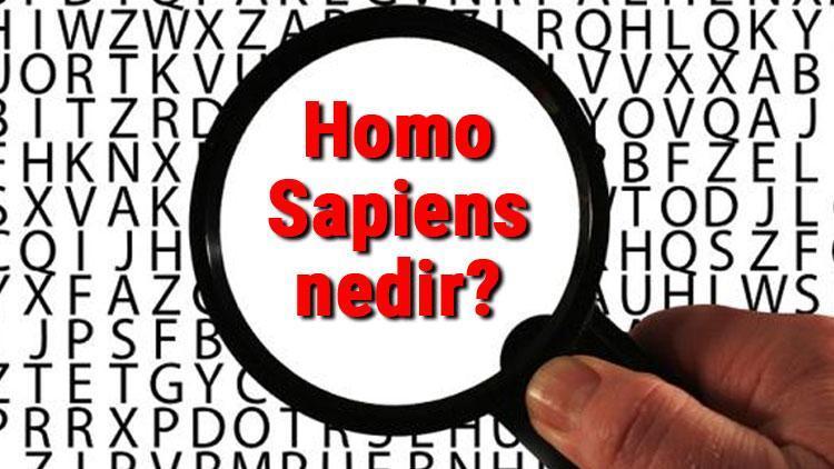 Homo Sapiens nedir ve ne demek Homo Sapiens hakkında bilgi