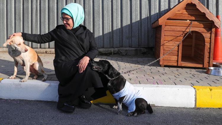 Emine Erdoğan, engelli köpek Leblebiyi sahiplendi