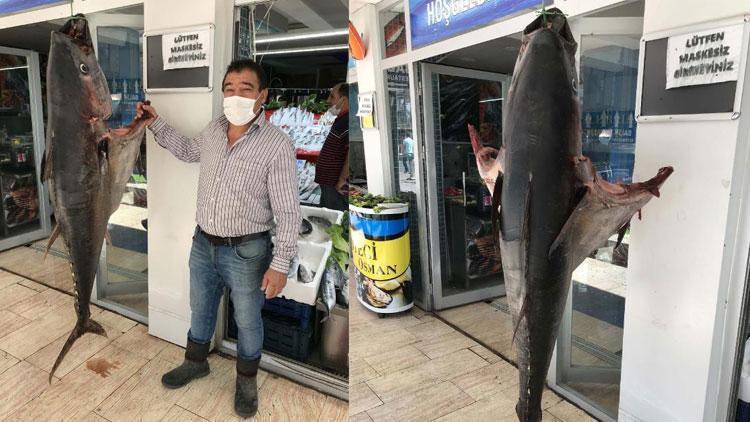 Görenler bakakaldı 90 kilo ağırlığında, 1 metre 75 santim boyunda...