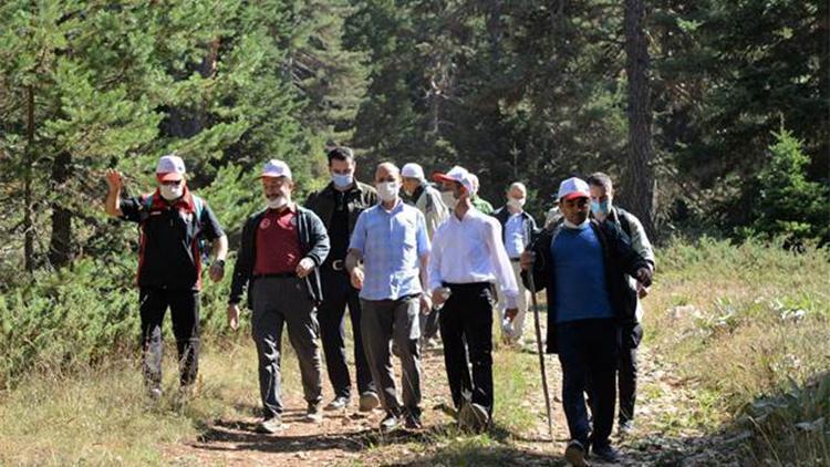 Tedavisi tamamlanan yavru çakal, doğa yürüyüşünde salındı