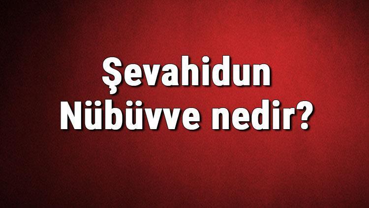 Şevahidun Nübüvve nedir ve kim tarafından yazılmıştır Şevahidun Nübüvve kitabı konusu