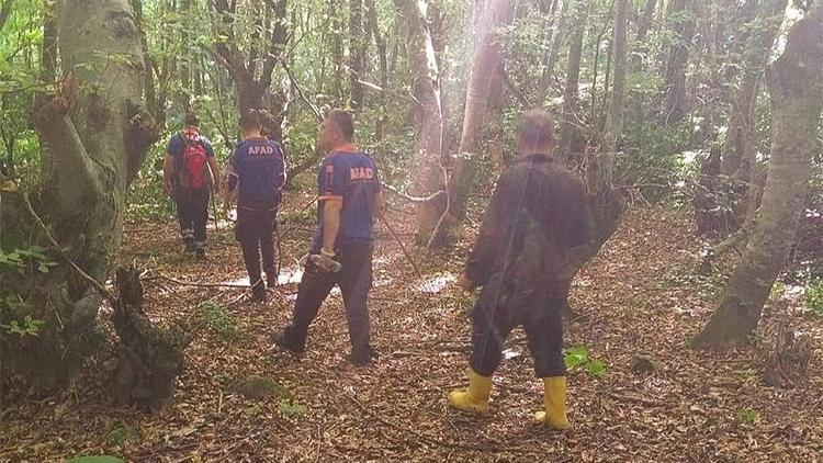 Kestane toplamaya gittiği dağda kayboldu