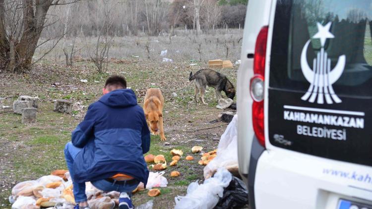 Sokaktaki canlara mama bırakılıyor