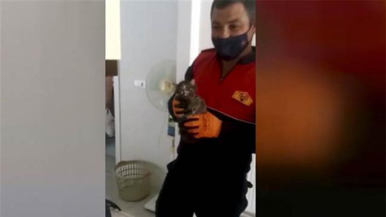 Apartman bacasına düşen yavru kediyi itfaiye kurtardı
