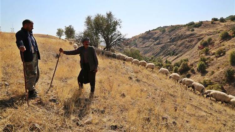 Tunceli’de göçerlerin zorlu dönüş yolculuğu başladı