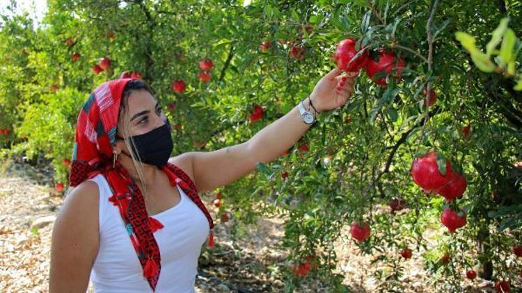 Kooperatifleşen çiftçi kadınlara destek