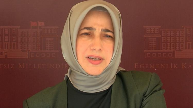 AK Parti Grup Başkanvekili Özlem Zenginden, Diyarbakır annelerine hakaret eden HDPli Tosuna kınama