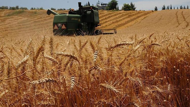 Son dakika... Buğday, arpa ve mısırda gümrük vergisi sıfırlandı