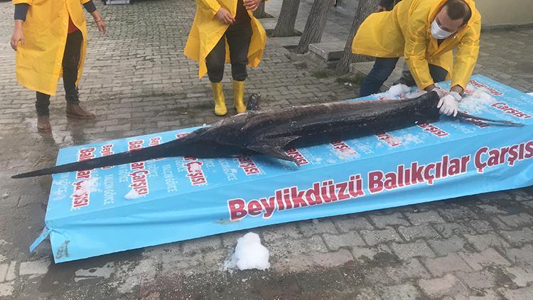 Böylesi uzun zamandır yoktu