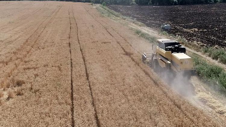 Tohum desteği ile çiftçilerin yüzü gülüyor