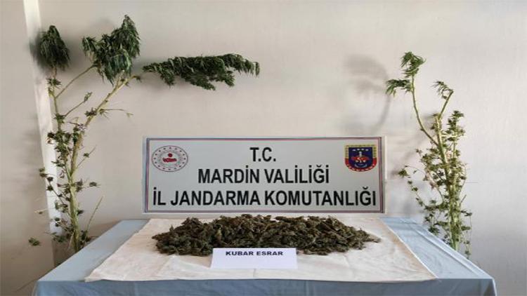 Mardinde uyuşturucu operasyonu: 2 gözaltı