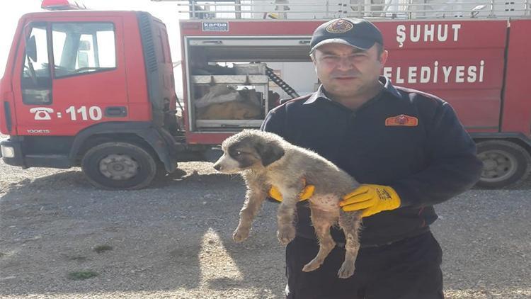 Kanalizasyon borusuna sıkışan yavru köpeği itfaiye ekipleri kurtardı