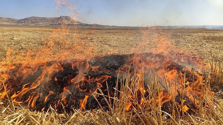 Tarladaki anızı yaktı, komşu tarladaki 150 boru kullanılamaz hale geldi