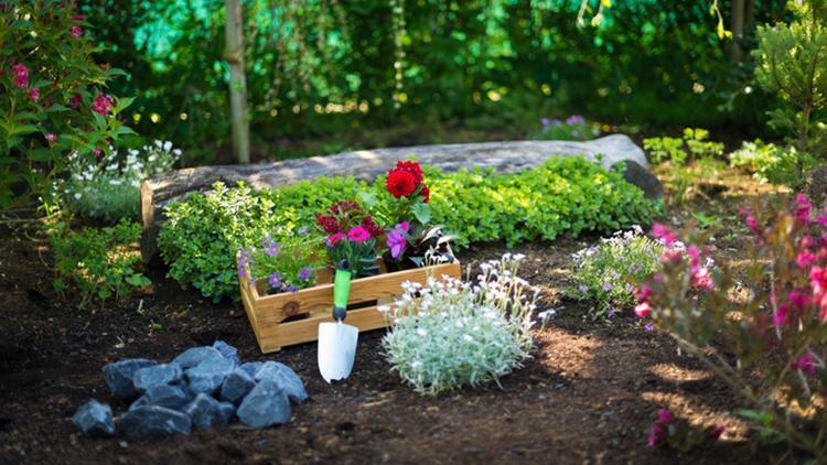 Küçük bahçenizin harika görünmesine yardımcı olacak 7 ipucu
