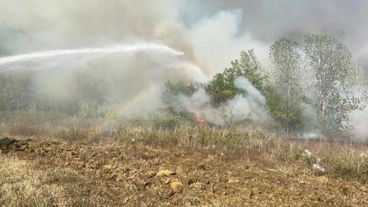 Son dakika... Samsun’da orman yangını... 4 noktadan müdahale edildi