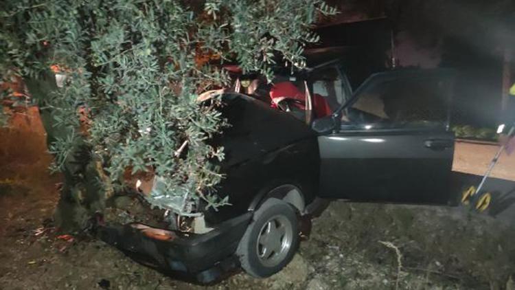Otomobil zeytin ağacına çarptı, sürücü yaralı
