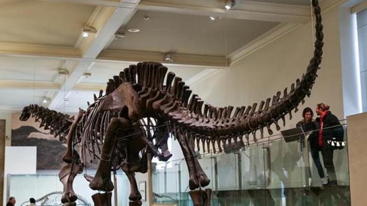 Arjantinde 70 milyon yıllık dinozor kalıntıları bulundu