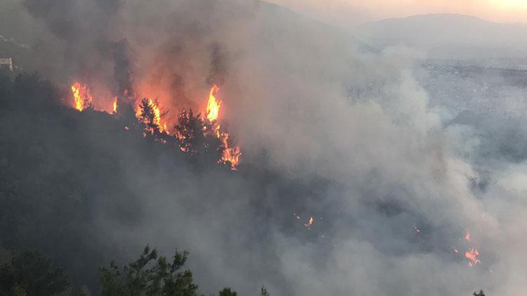 Başsavcılıktan Hataydaki orman yangınıyla ilgili açıklama: Soruşturma devam etmektedir