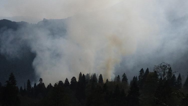 Gümüşhane’deki orman yangınına müdahale sürüyor