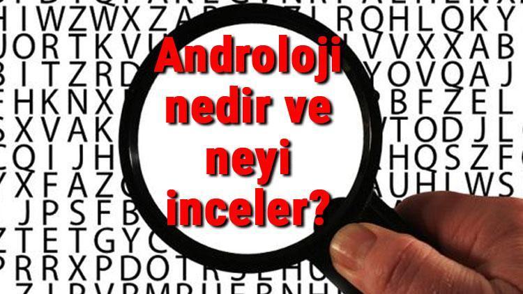 Androloji nedir ve neyi inceler Androloji bilimi hakkında kısaca bilgiler