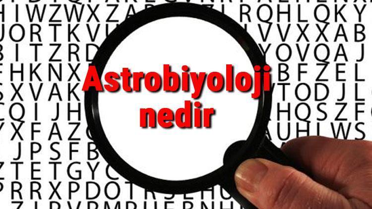 Astrobiyoloji nedir ve neyi inceler Astrobiyoloji (Egzobiyoloji) bilimi hakkında kısaca bilgiler