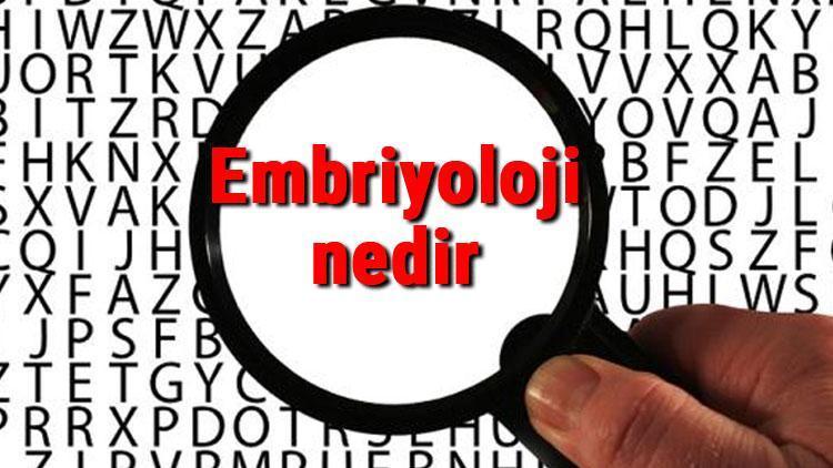 Embriyoloji nedir ve neyi inceler Embriyoloji bilimi hakkında kısaca bilgiler