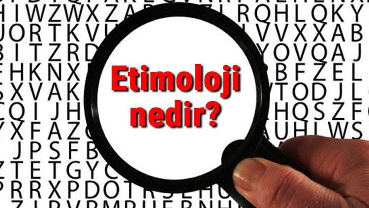 Etimoloji nedir Etimolog ne demek Etimoloji uzmanı (Etimolog) ne iş yapar