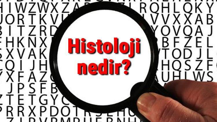 Histoloji nedir Histolog ne demek Histoloji bilimi neler ile ilgilenir