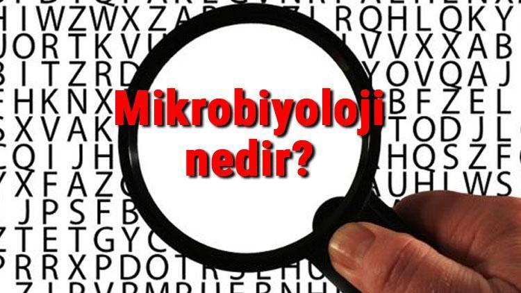 Mikrobiyoloji nedir Mikrobiyolog ne demek Mikrobiyoloji bilimi neler ile ilgilenir