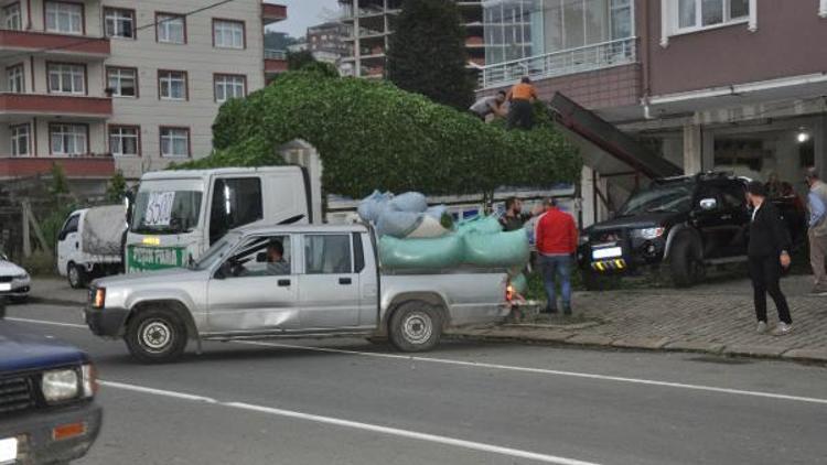 Doğu Karadenizde, 4üncü sürgün yaş çay hasadı