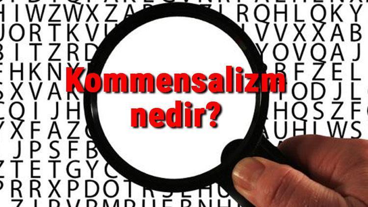 Kommensalizm nedir Kommensalizm (tek taraflı birliktelik) hakkında bilgi