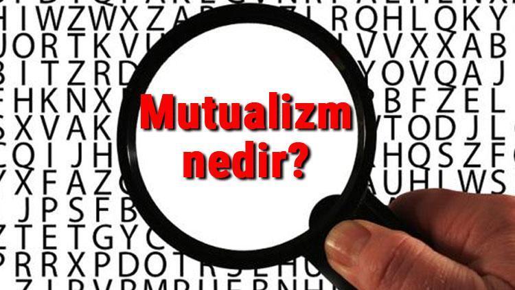 Mutualizm nedir Mutualizm (Karşılıklı fayda birlikteliği) hakkında bilgi