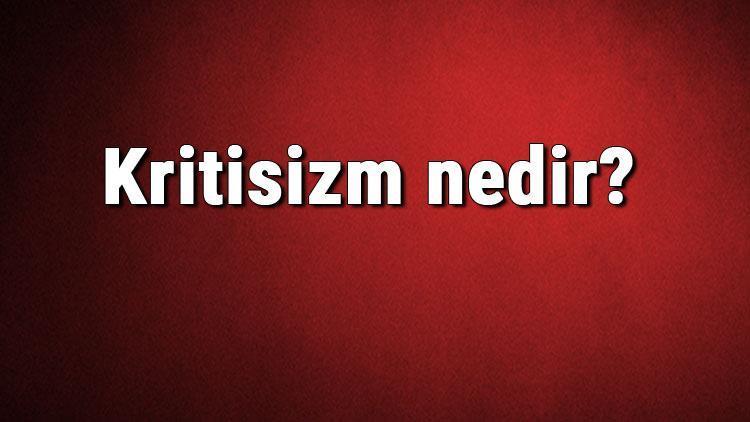 Kritisizm nedir Eleştiricilik ne demek Felsefede Kritisizm (Eleştiricilik) akımı özellikleri, kurucusu ve temsilcileri