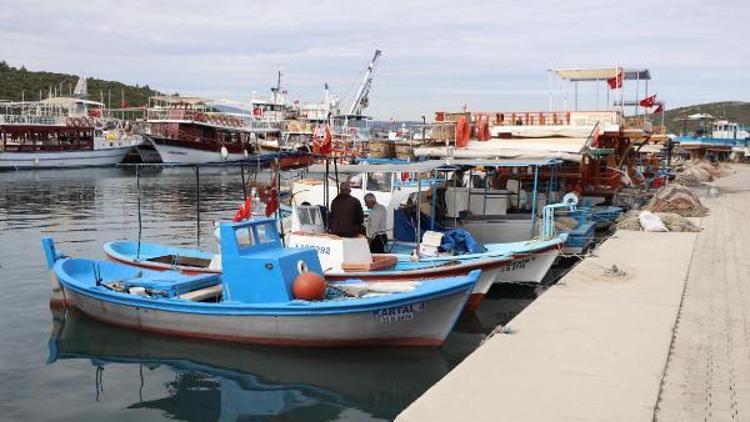 Seferihisarda tsunami korkusu nedeniyle balıkçılar denize açılmıyor