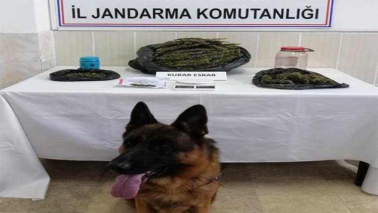 Jandarma ekipleri 4 kilo uyuşturucu yakaladı