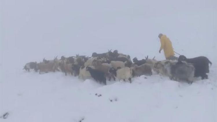 Başkalede kar yağışı çobanları olumsuz etkiledi