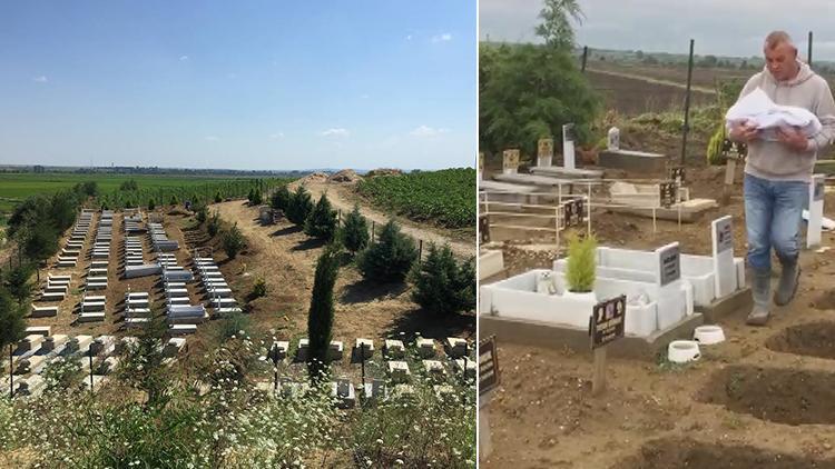 Kedisi kazada ölen hayvansever Edirnedeki arazisini hayvan mezarlığı yaptı
