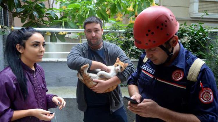 Avcılar’da 5’inci kattan düşen kedi, 8 saat sonra sıkıştığı yerden çıkarıldı