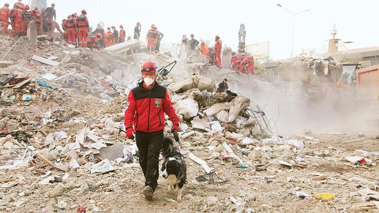 Bir köpek, en iyi laboratuvardan bile daha duyarlı