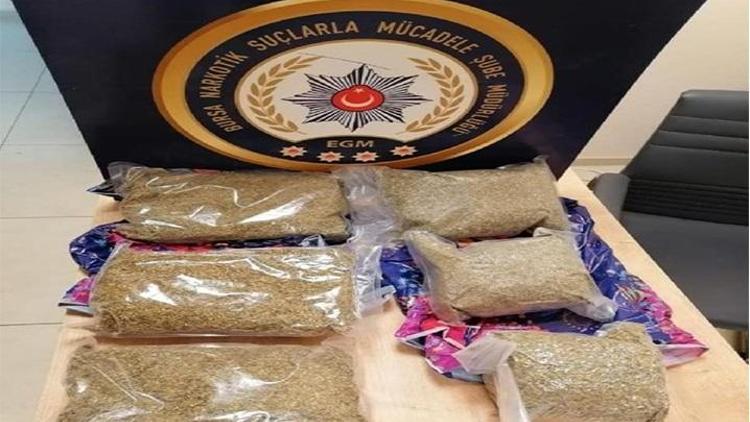 Bursada, evinde 3 kilo uyuşturucuyla yakalanan şüpheli tutuklandı