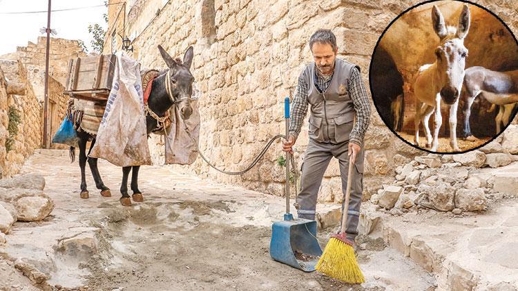 Mardin’in çöpü onların sırtında... Kadrolu eşekler