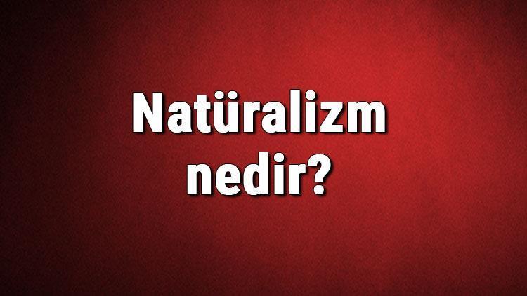 Natüralizm nedir Doğalcılık ne demek Felsefede Natüralizm akımı özellikleri, kurucusu ve temsilcileri