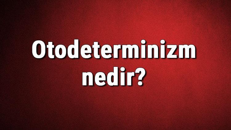 Otodeterminizm nedir Otodeterminizm (ahlaki özerklik) hakkında bilgi