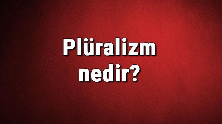 Plüralizm nedir Çokçuluk ne demek Plüralizm (çokçuluk) hakkında bilgi